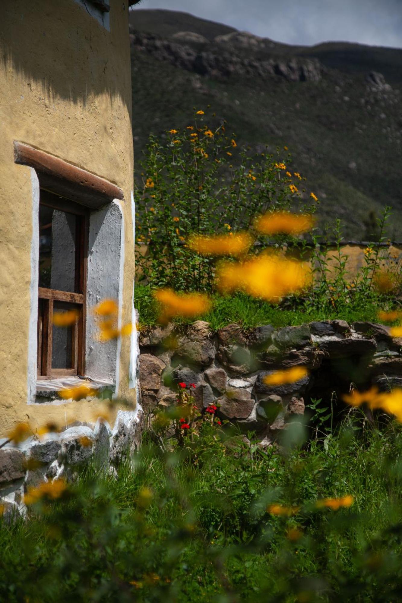 Penzion Ayni Wasi Coporaque Exteriér fotografie